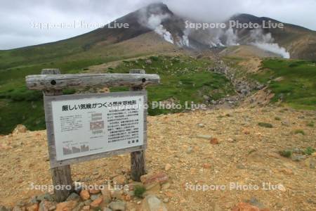 旭岳　噴煙と周氷河地形