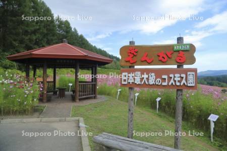 太陽の丘えんがる公園