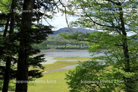 タウシュベツ川橋梁