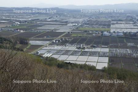 春の水田地帯