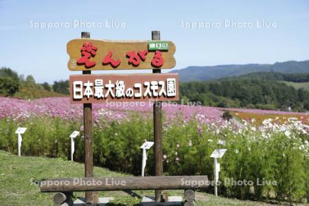 太陽の丘えんがる公園