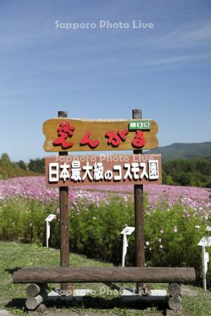 太陽の丘えんがる公園