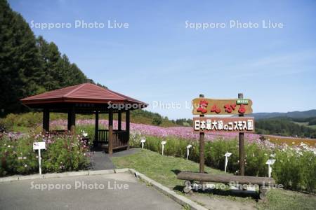 太陽の丘えんがる公園