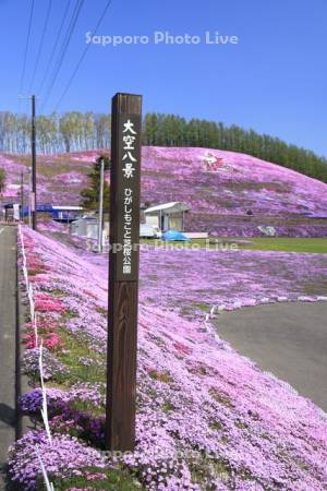 ひがしもこと芝桜公園