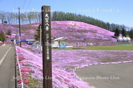 ひがしもこと芝桜公園