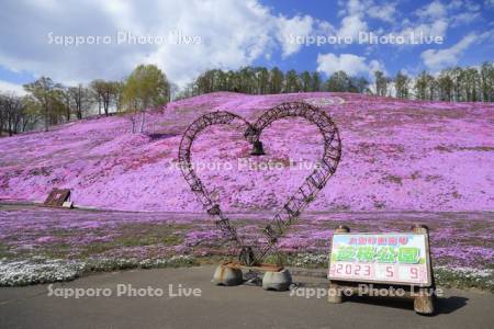 ひがしもこと芝桜公園