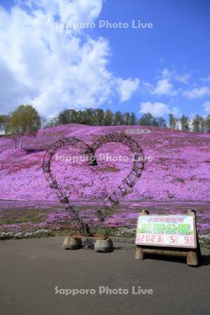 ひがしもこと芝桜公園