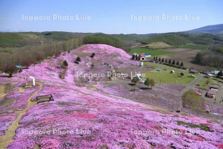 ひがしもこと芝桜公園