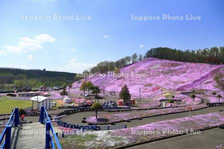 ひがしもこと芝桜公園