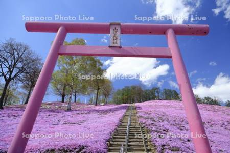 ひがしもこと芝桜公園