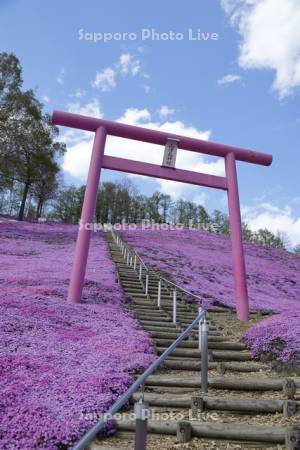 ひがしもこと芝桜公園