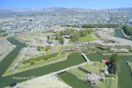 五稜郭タワーより五稜郭公園