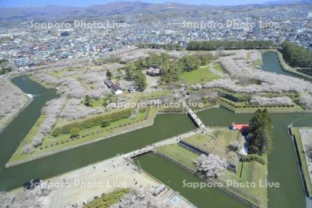 五稜郭タワーより五稜郭公園