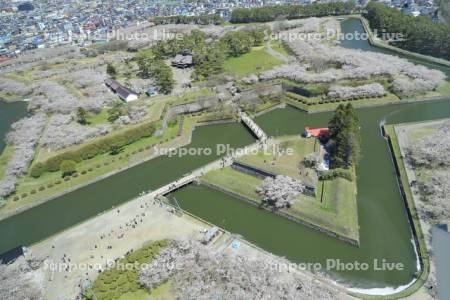 五稜郭タワーより五稜郭公園