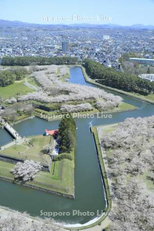 五稜郭タワーより五稜郭公園