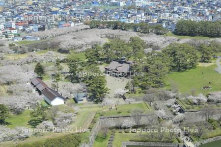 五稜郭タワーより五稜郭公園