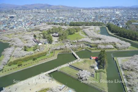 五稜郭タワーより五稜郭公園