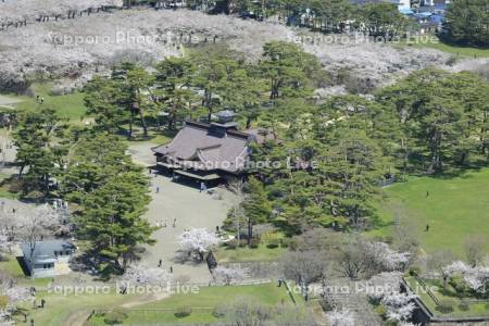 五稜郭タワーより五稜郭公園