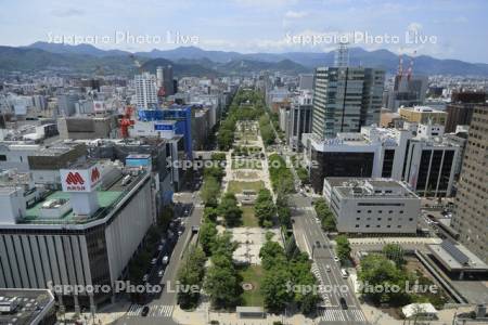 テレビ塔より大通公園～大倉山