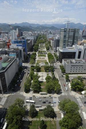 テレビ塔より大通公園～大倉山