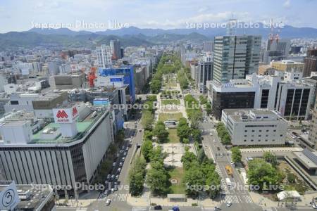 テレビ塔より大通公園～大倉山