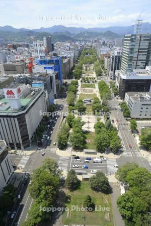 テレビ塔より大通公園～大倉山