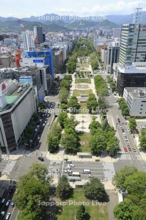 テレビ塔より大通公園～大倉山