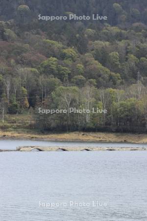 糠平湖タウシュベツ川橋梁