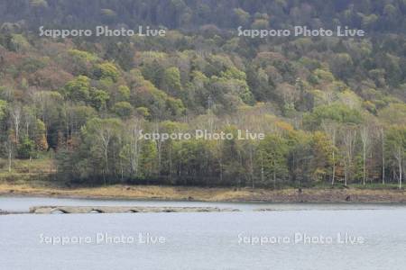 糠平湖タウシュベツ川橋梁