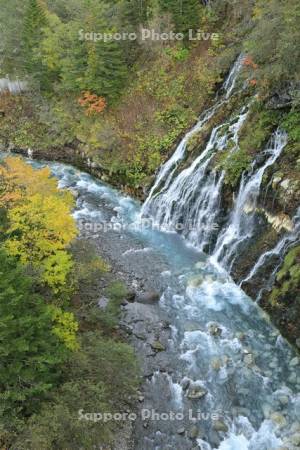 秋の白ひげの滝