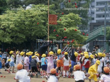 運動会の玉入れ