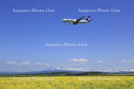 飛行機と旭岳