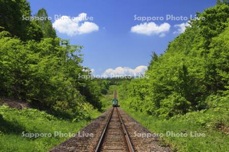 富良野線の線路