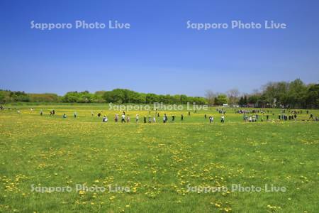 公園の広場と子供たち