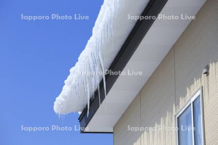 屋根からの雪庇