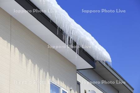 屋根からの雪庇