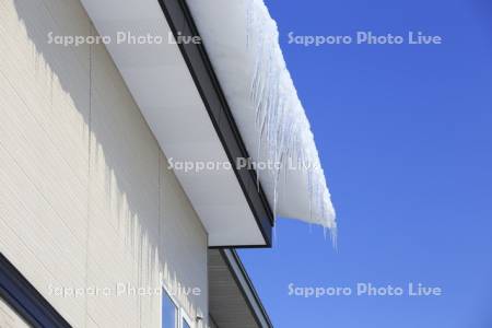 屋根からの雪庇