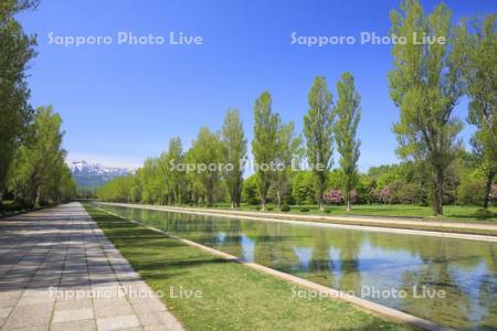 前田森林公園