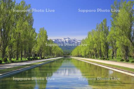 前田森林公園