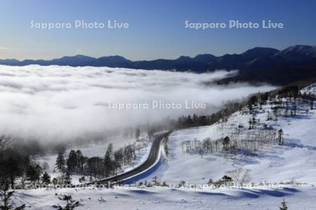 峠の道と雲海