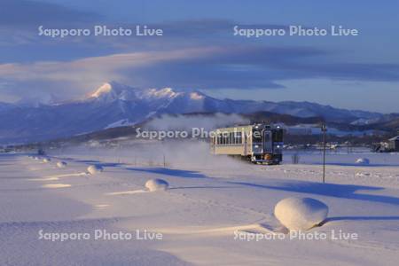 雪原を走る列車