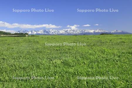 草原と十勝岳連峰