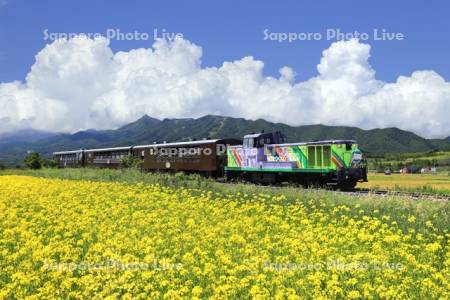 JR富良野・美瑛ノロッコ号