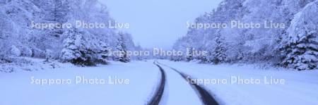 雪道と霧氷の森