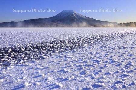 阿寒湖のフロストフラワー