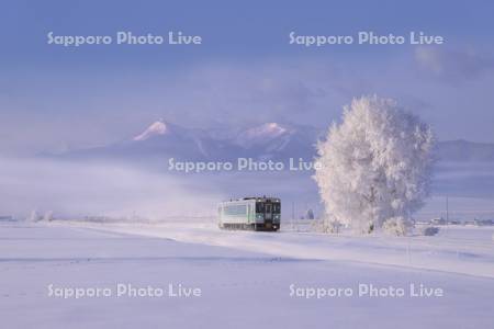 列車と霧氷