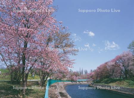 聖台ダム公園