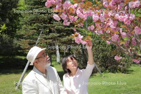 シニア男性と介護士