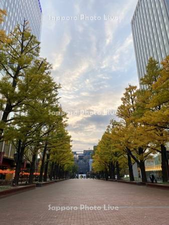 札幌市北3条広場　アカプラ