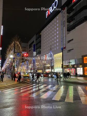 さっぽろホワイトイルミネーション　南1条通り